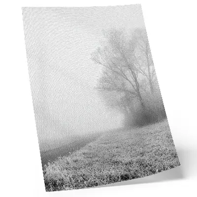 Poster subtiele mist met bomen in een vredig winterlandschap
