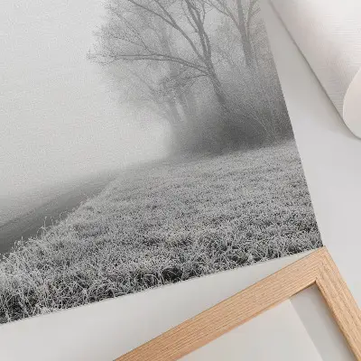 Poster subtiele mist met bomen in een vredig winterlandschap