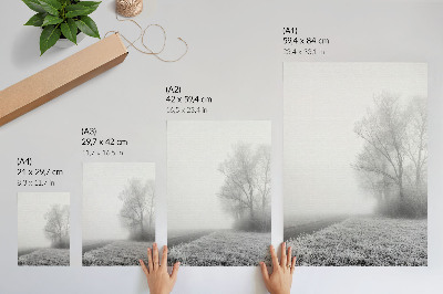 Poster Subtiele mist, bomen, winterlandschap, vredige sfeer