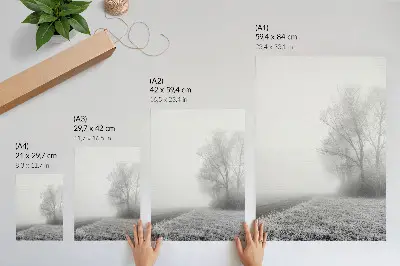Poster subtiele mist met bomen in een vredig winterlandschap