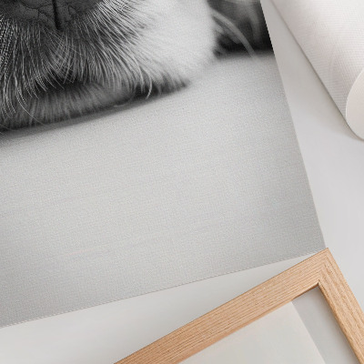 Poster Close-up van een hond, zwart-wit textuur, minimalistisch.