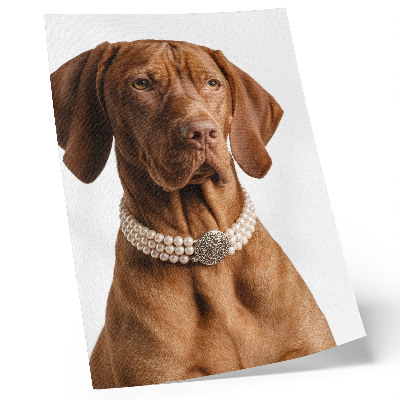 Wandposter Elegante hondenhalsband met luxe afwerking