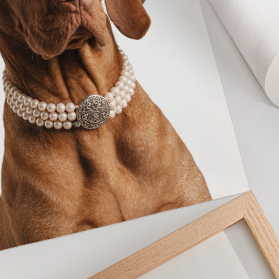 Wandposter Elegante hondenhalsband met luxe afwerking