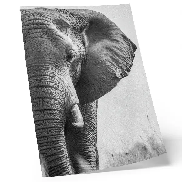Poster monochromatische sfeer met gerimpeld leer voor een elegante uitstraling
