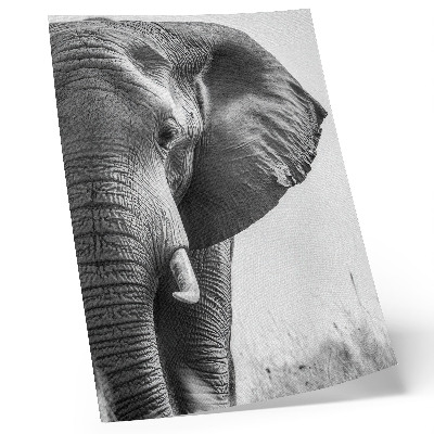 Poster Monochromatische sfeer, gerimpeld leer, elegantie