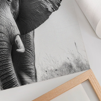 Poster Monochromatische sfeer, gerimpeld leer, elegantie