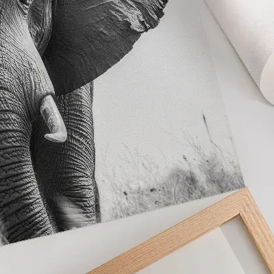 Poster monochromatische sfeer met gerimpeld leer voor een elegante uitstraling