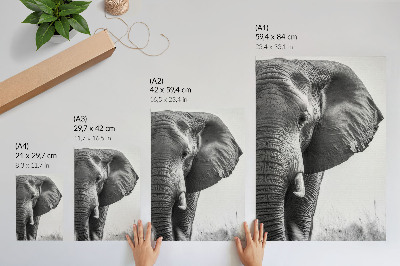 Poster Monochromatische sfeer, gerimpeld leer, elegantie