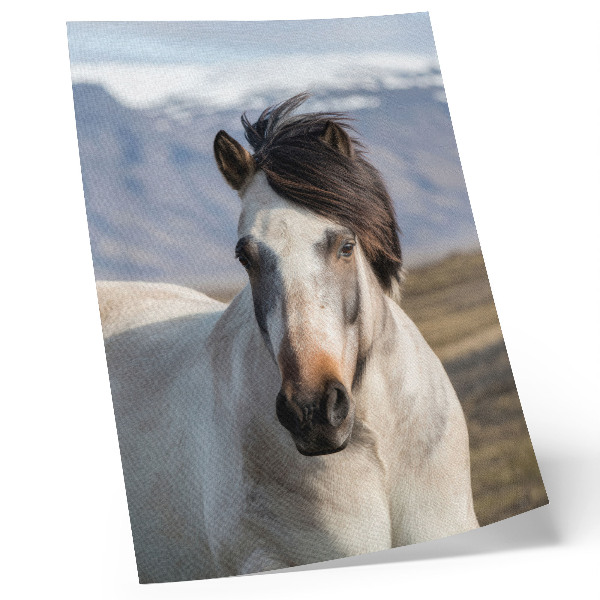 Decoratieve poster De natuurlijke schoonheid van een paard tegen de achtergrond van bergen, rust, eenvoud