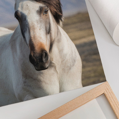 Decoratieve poster De natuurlijke schoonheid van een paard tegen de achtergrond van bergen, rust, eenvoud