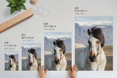 Decoratieve poster De natuurlijke schoonheid van een paard tegen de achtergrond van bergen, rust, eenvoud