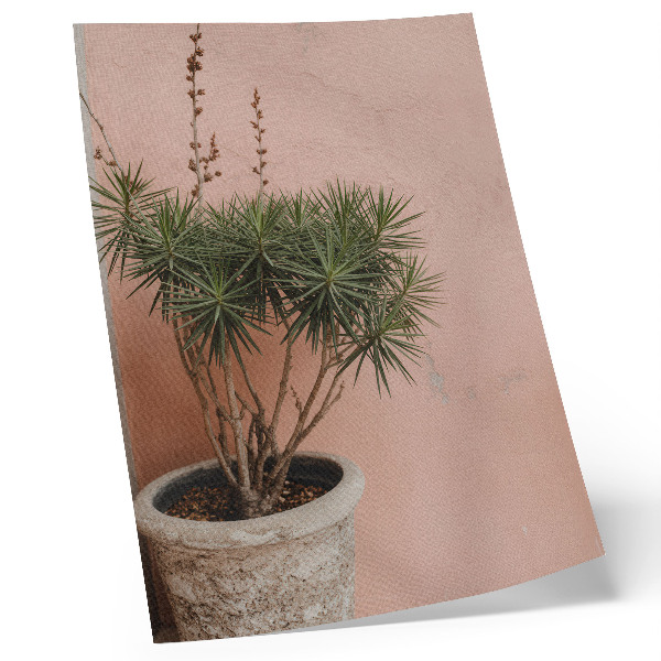 Decoratieve poster Groene plant tegen de achtergrond van een perzikkleurige muur