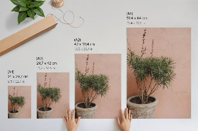 Decoratieve poster Groene plant tegen de achtergrond van een perzikkleurige muur