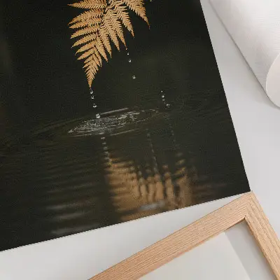 Wandposter varens boven het water met harmonieuze druppels en weerspiegeling