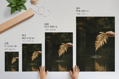 Wandposter Varens boven het water, harmonieuze druppels, weerspiegeling