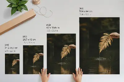 Wandposter varens boven het water met harmonieuze druppels en weerspiegeling