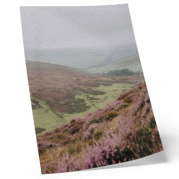 Poster Paarse heide, mist, groene, glooiende heuvels