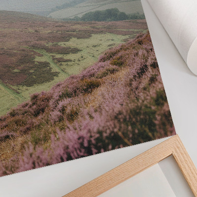 Poster Paarse heide, mist, groene, glooiende heuvels
