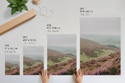 Poster Paarse heide, mist, groene, glooiende heuvels