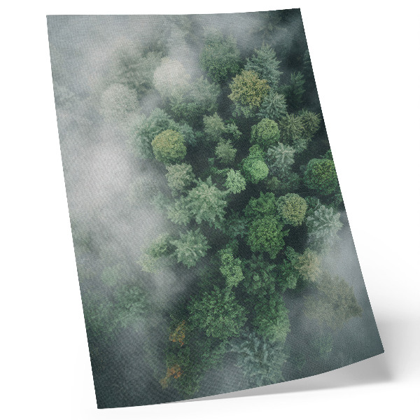 Wandposter Groene bomen gehuld in een ijle witte mist.