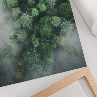 Wandposter Groene bomen gehuld in een ijle witte mist.