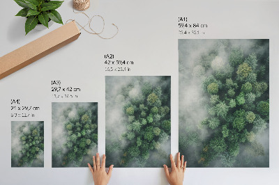 Wandposter Groene bomen gehuld in een ijle witte mist.
