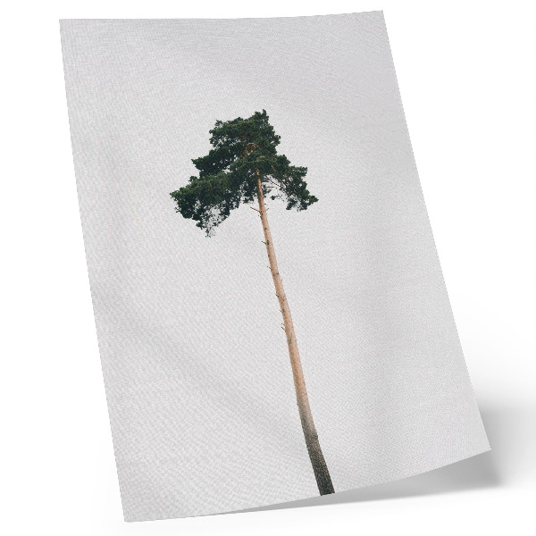 Wandposter Een eenzame boom op een lichte achtergrond met een minimalistische uitstraling.