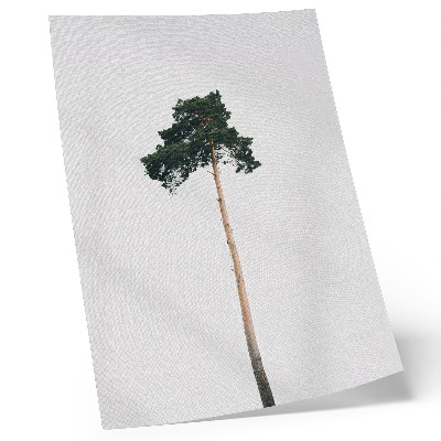 Wandposter Een eenzame boom op een lichte achtergrond met een minimalistische uitstraling.