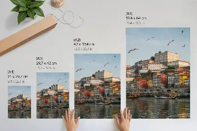 Decoratieve poster met kleurrijke huurkazernes, elegante schepen en meeuwen