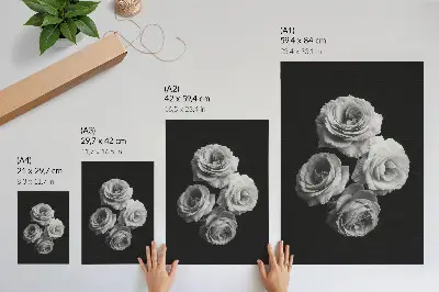 Poster zwart-witte rozen met een minimalistische en klassieke uitstraling