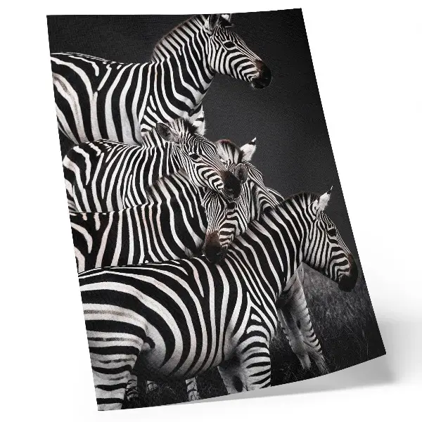 Decoratieve poster zebra met contrasterende zwart-witte verticale lijnen