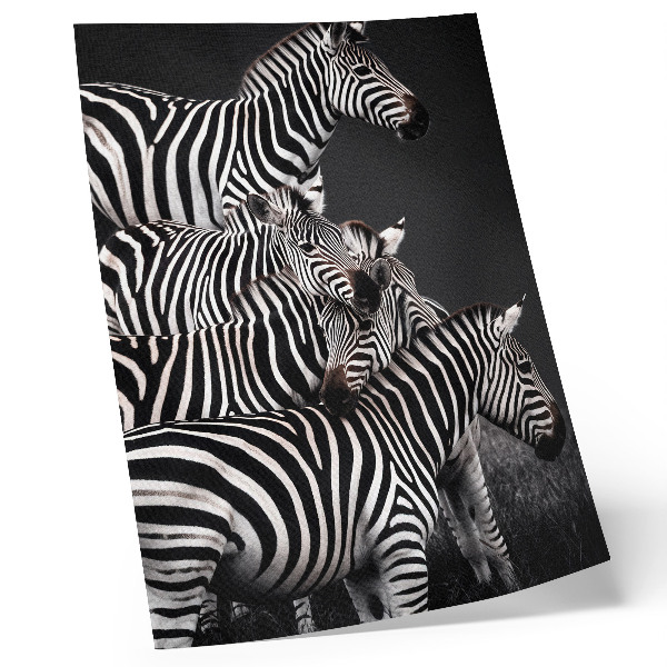 Decoratieve poster Zebra met contrasterende zwarte en witte verticale lijnen