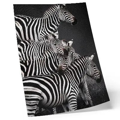 Decoratieve poster zebra met contrasterende zwart-witte verticale lijnen