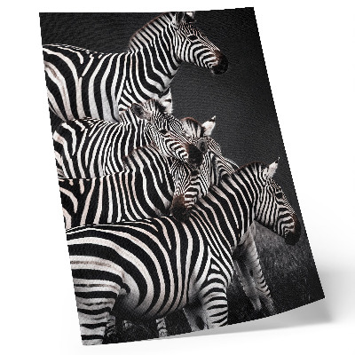 Decoratieve poster Zebra met contrasterende zwarte en witte verticale lijnen