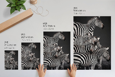 Decoratieve poster Zebra met contrasterende zwarte en witte verticale lijnen