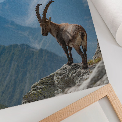 Wandposter Steenbok tegen de achtergrond van bergen, vredige harmonie van de natuur
