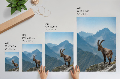 Wandposter Steenbok tegen de achtergrond van bergen, vredige harmonie van de natuur