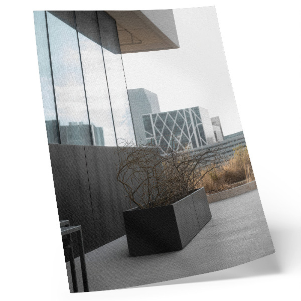 Poster Moderne gebouwen en dorre takken