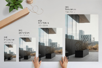 Poster Moderne gebouwen en dorre takken