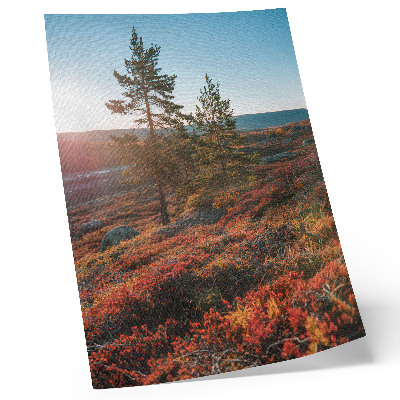 Poster Majestueuze bomen, warme kleuren, een vredige sfeer.