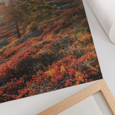 Poster Majestueuze bomen, warme kleuren, een vredige sfeer.