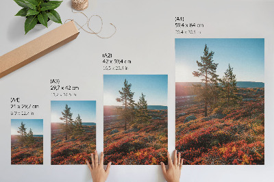 Poster Majestueuze bomen, warme kleuren, een vredige sfeer.