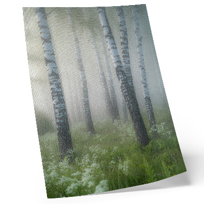 Decoratieve poster Berken in de mist, witte bast, groen gras