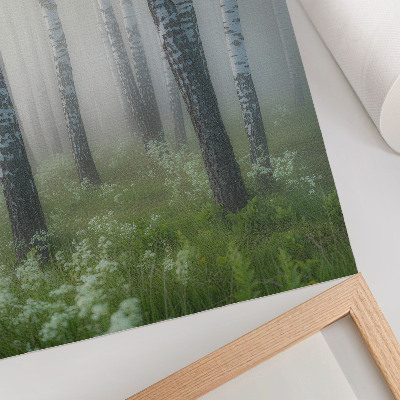 Decoratieve poster Berken in de mist, witte bast, groen gras
