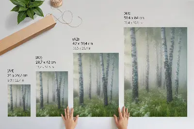 Decoratieve poster berken in de mist met een witte bast en groen gras