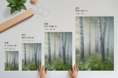 Decoratieve poster Berken in de mist, witte bast, groen gras
