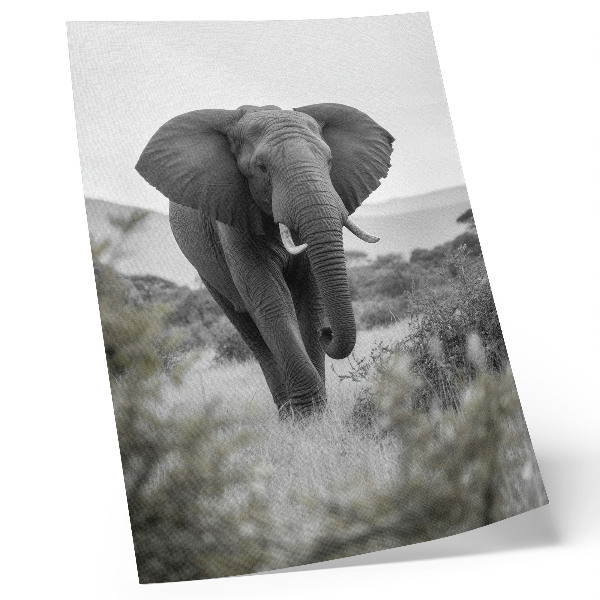 Wandposter Een grote olifant tegen een natuurlijke achtergrond.
