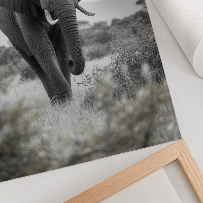 Wandposter Een grote olifant tegen een natuurlijke achtergrond.