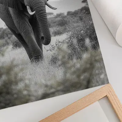 Wandposter met een grote olifant tegen een natuurlijke achtergrond