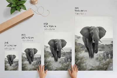 Wandposter Een grote olifant tegen een natuurlijke achtergrond.